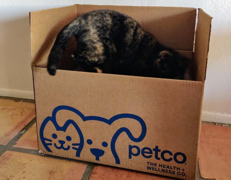 She didn't even want to wait for the couch to come out of the box.