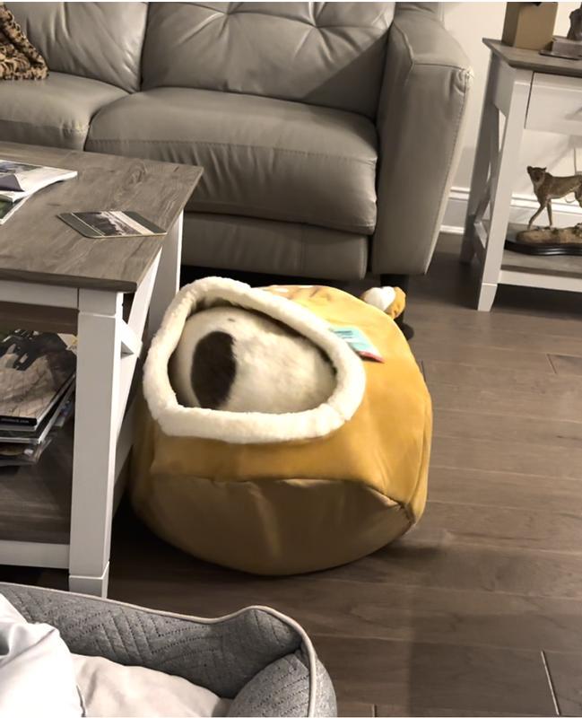 Photo - commentaire 4.