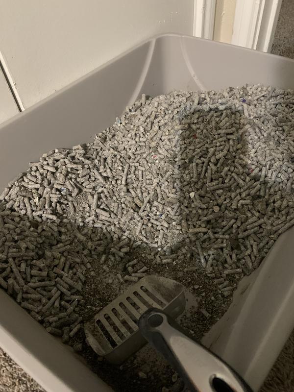 Daily cleaning……