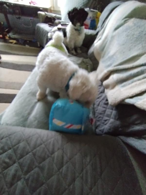 A birthday toy for fun times