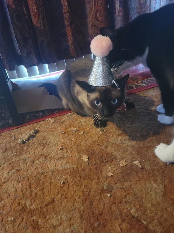 My first birthday with my favorite toy right beside me!