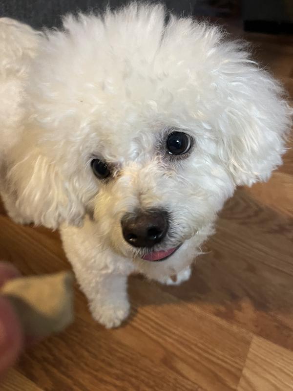 My little one lights up when she sees her treats