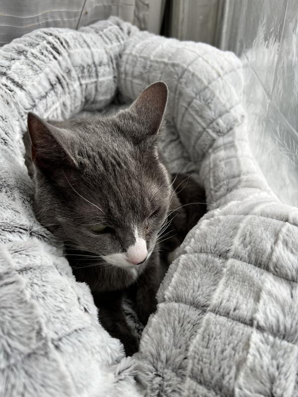 All snuggled up