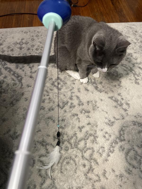 Extended rod