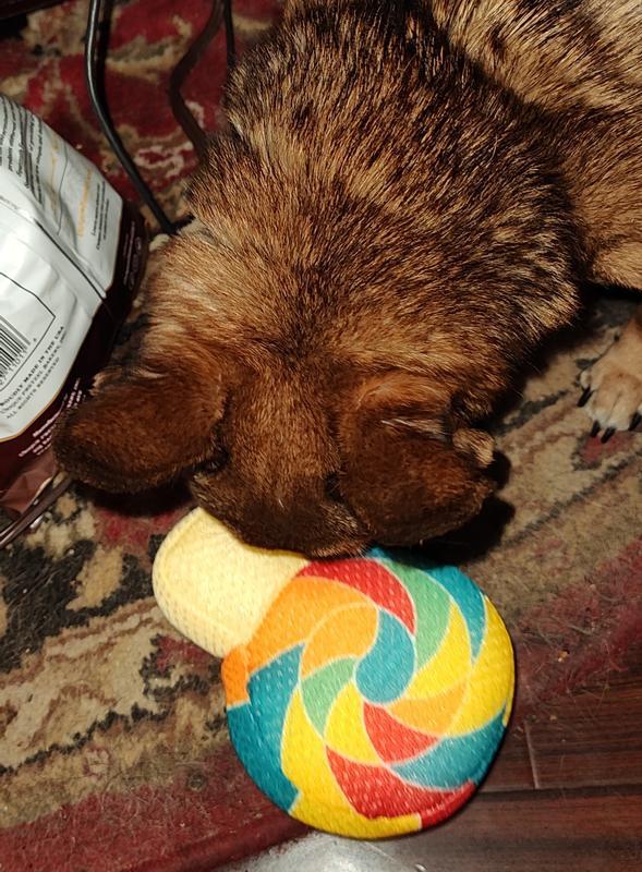 Sid with his new toy!
