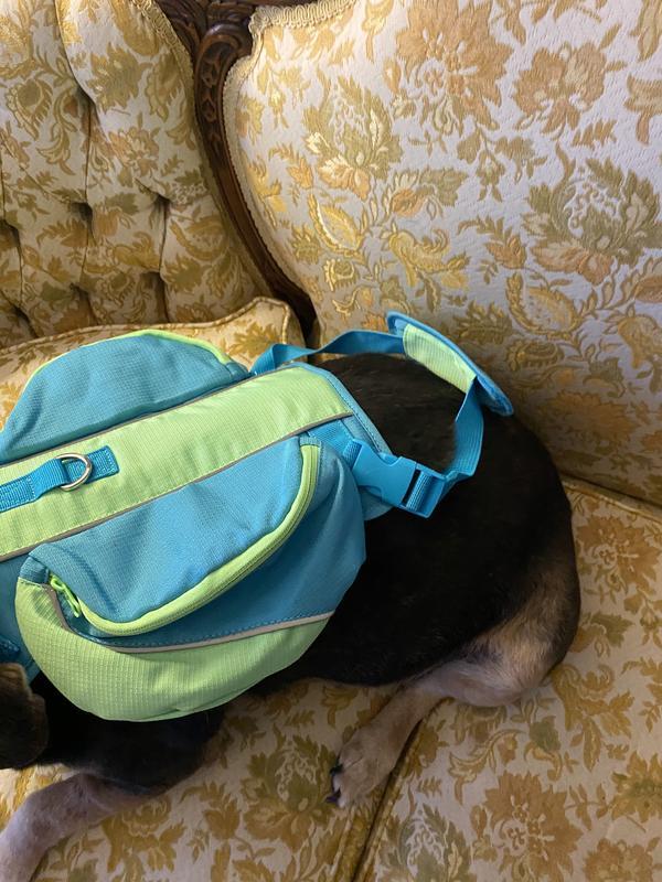 The back strap is not necessary to keep the pack in place.