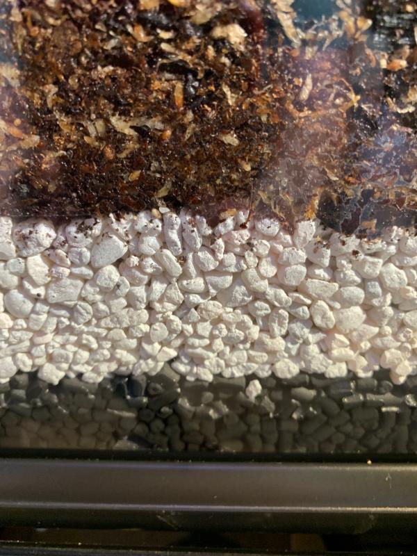 I use it as false button on my vivarium, helps filter the water