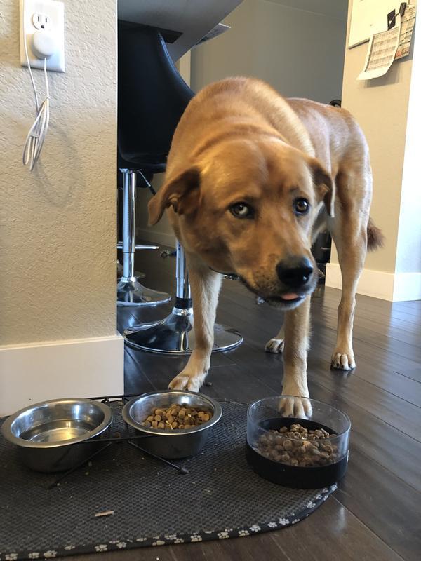 She loves the cronch