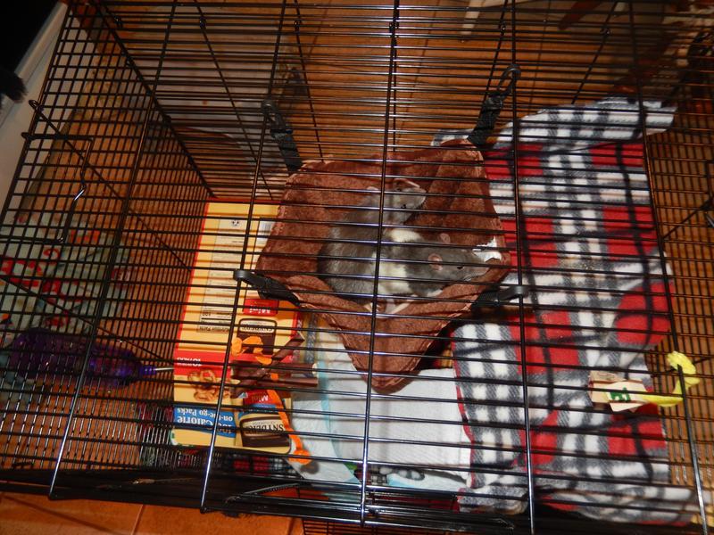 warm, and both roomy and cozy