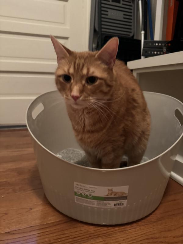 Not even 5 minutes of having it!