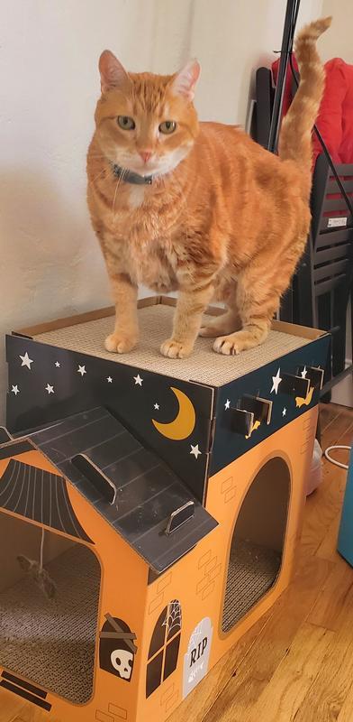 Photo - commentaire 7.