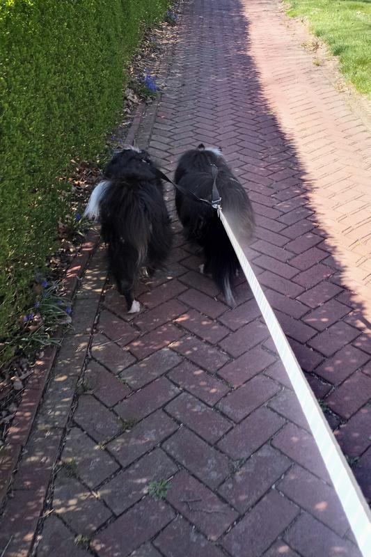 Photo - commentaire&nbsp;6.