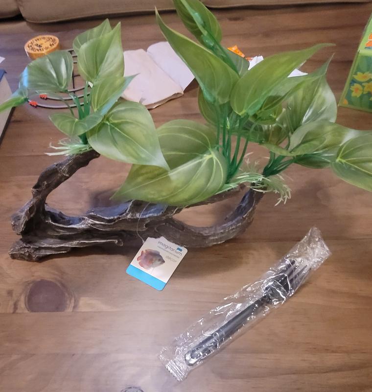 I put a sauce packet and fork for size reference!