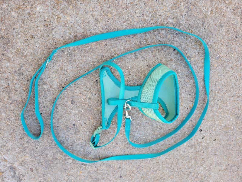 6foot leash