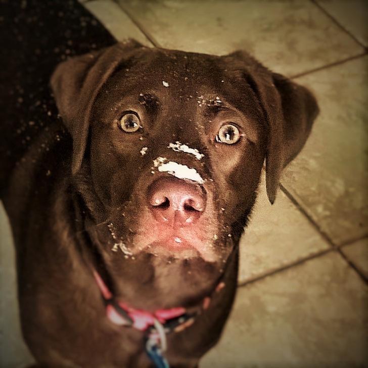 Tucker