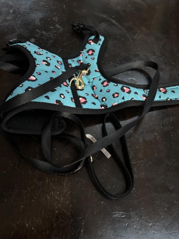 Harness close up(cat was too big to fit in)