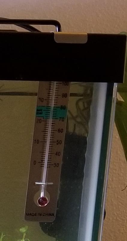 small aquarium thermometer, perhaps using the phone to check it is better than trying to look directly!