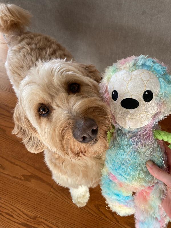 A bit dirty now that we've played with it for a couple weeks, but we love this toy!