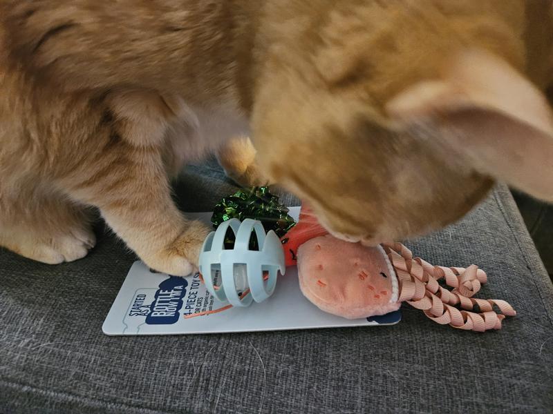I tried to get a picture of the toys in the package, but they were too popular!