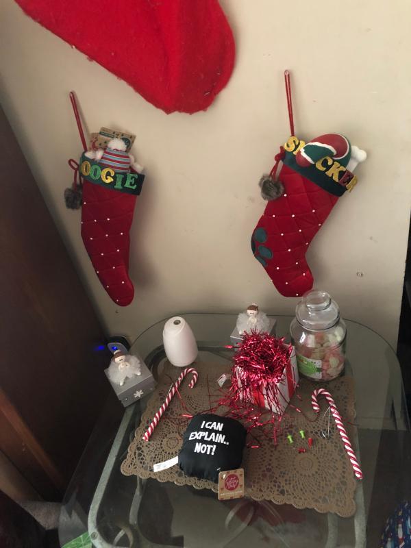Our new family addiction 1st Christmas