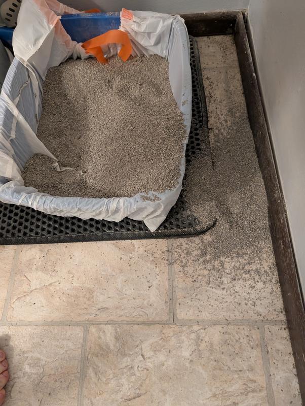 Old litter box, scatter everywhere