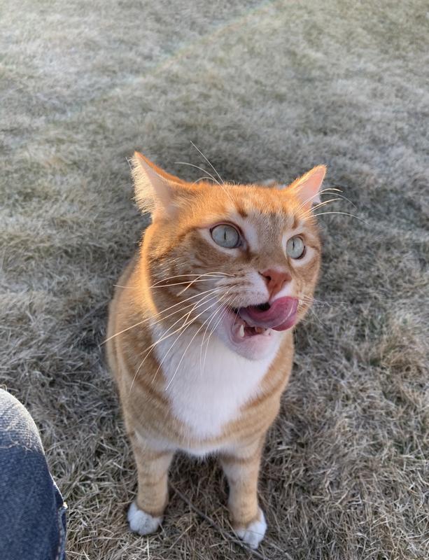 Gilbert