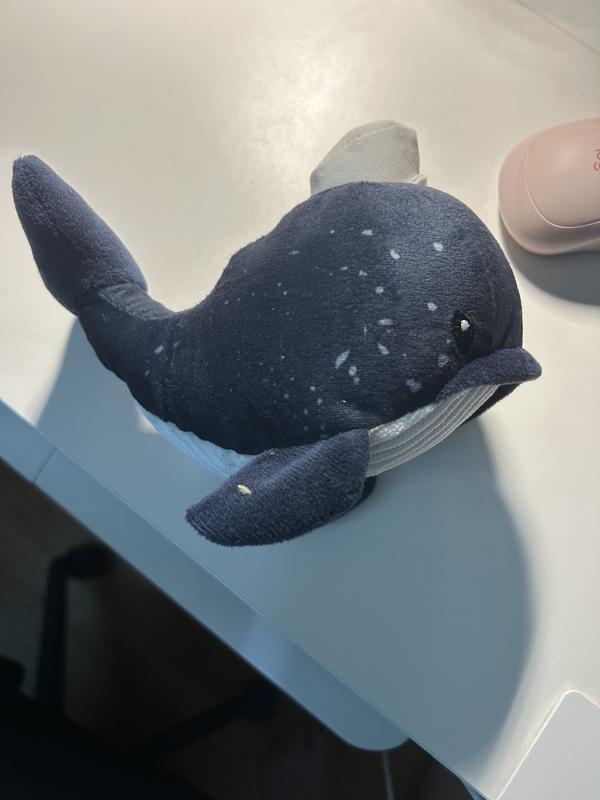 Whale xsmall