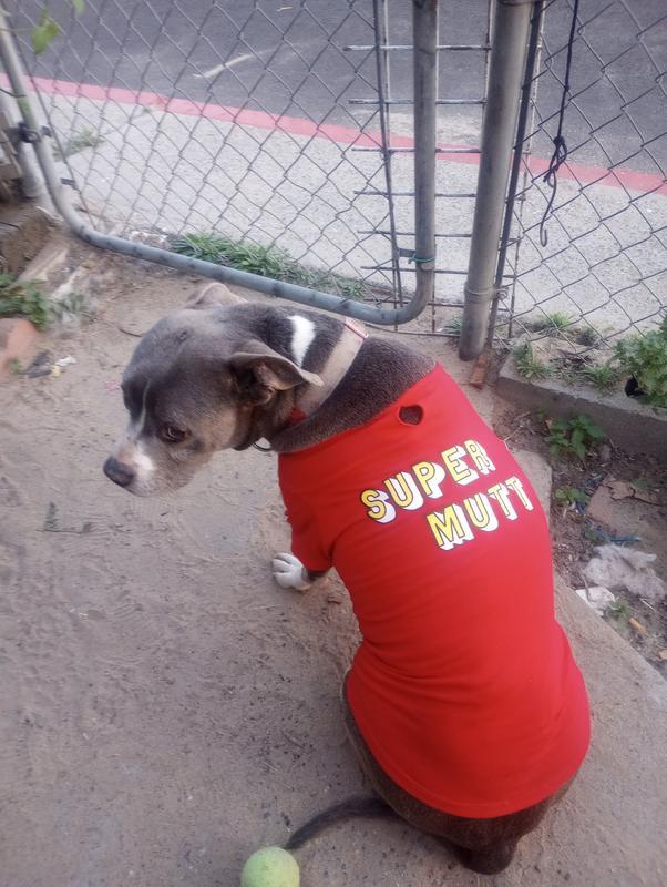 Ready to go for a walk whenever she’s dressed.