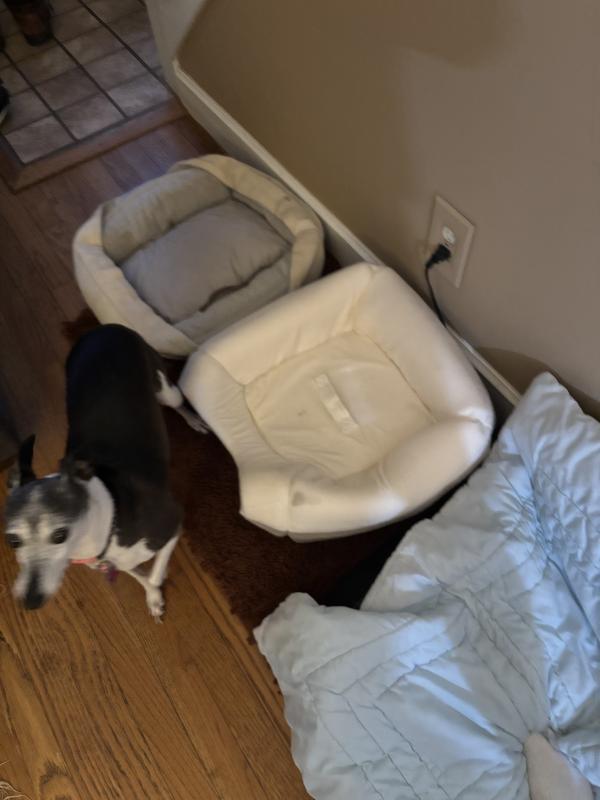 Fluffy bed