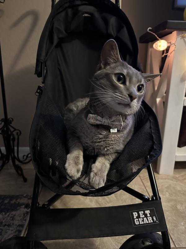 Ready to go show the world my dapper look