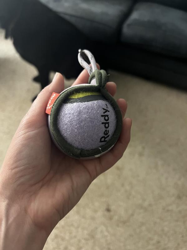 A little smaller than an average tennis ball