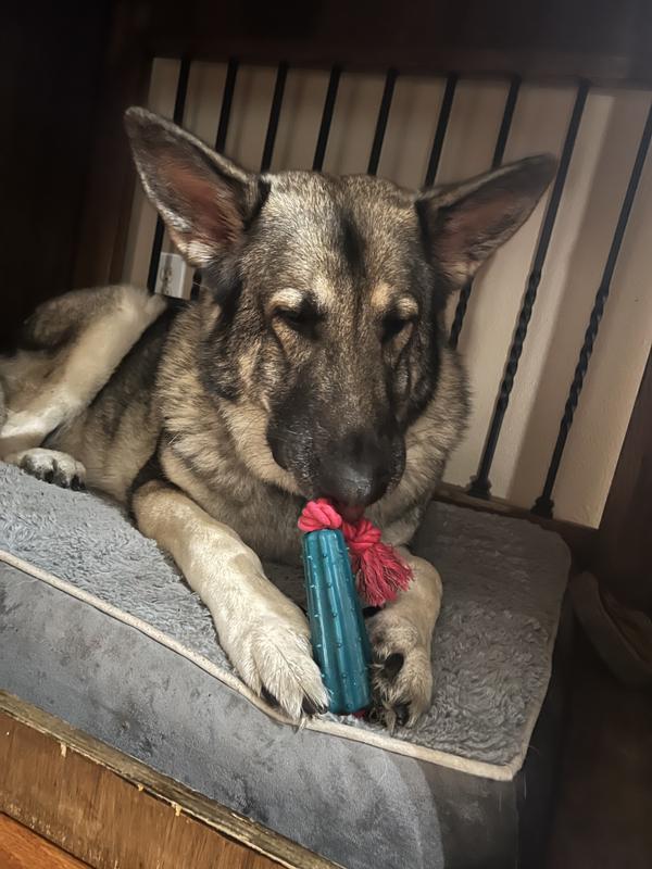 Enjoying her new toy!