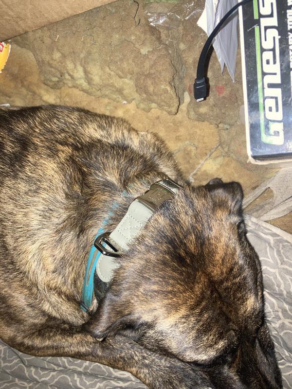 Kona approved