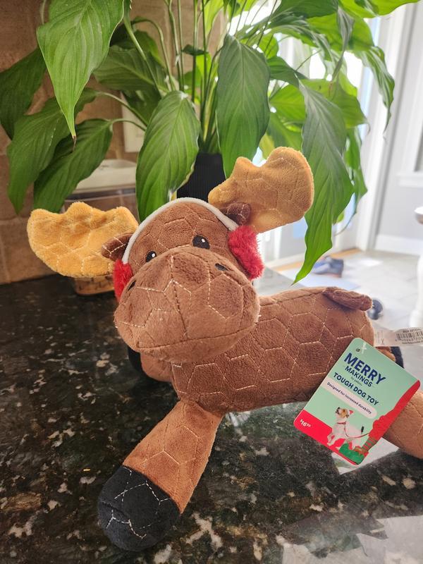 Quality toy for the super chewer