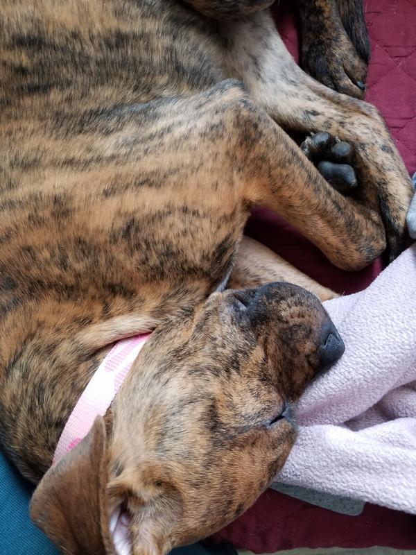 Sooo good , I needed a nap!