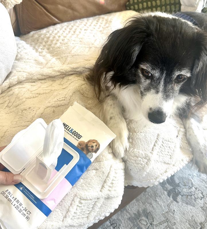 Oh wait, that's not treats! What is the end goal here mom?!