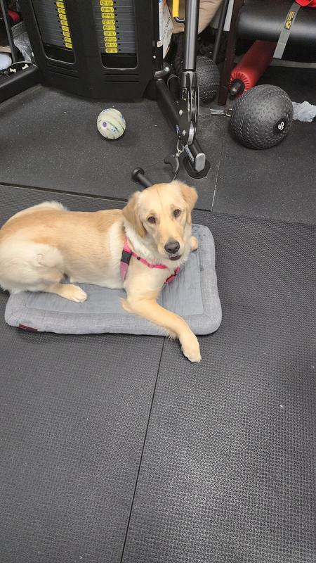 A little too small for her, but she wanted to try it out