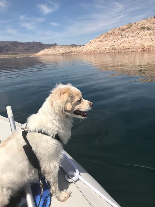 happy to be out on the water