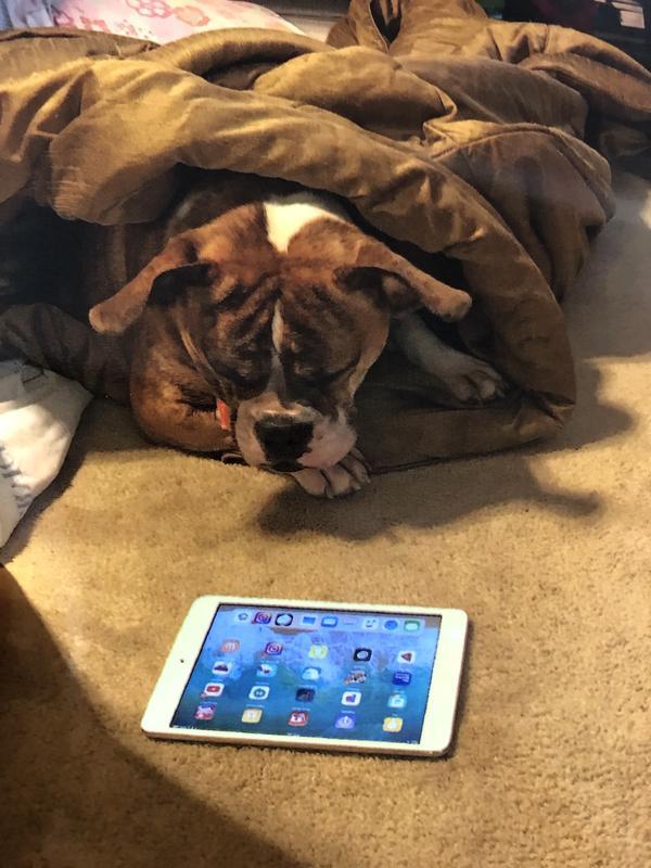 Love my iPad