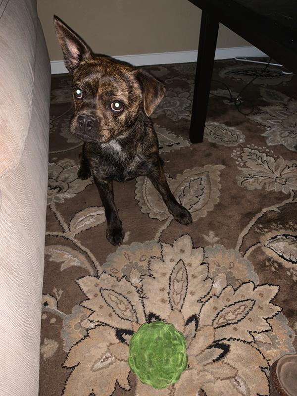 Photo - commentaire&nbsp;6.