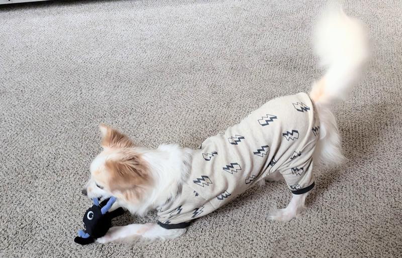 Photo - commentaire 5.