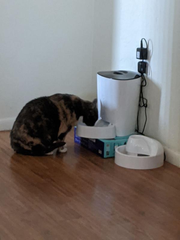 She loves her fountain