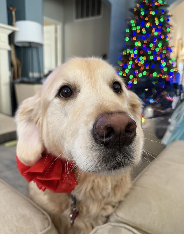 Photo - commentaire&nbsp;2.