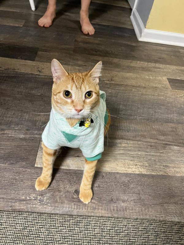 He likes it!  Fits him well - he's 12 lbs.