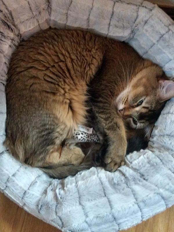Caught in the act..
