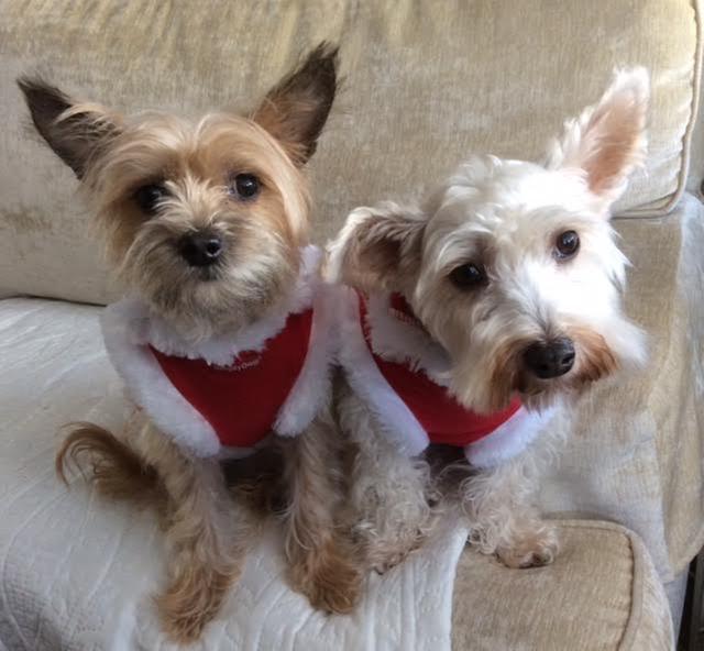 Macy & Morgan