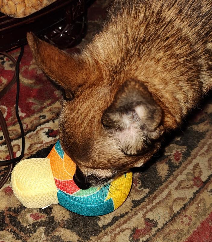 Loves to make it squeak!