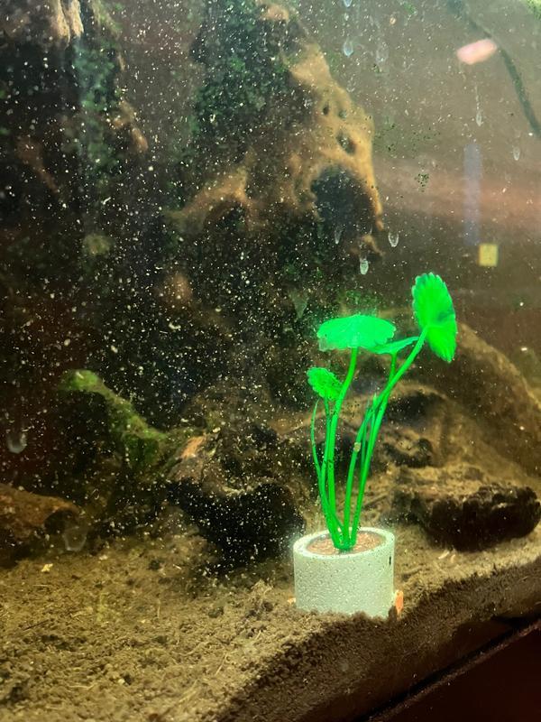 At the bottom of the pond