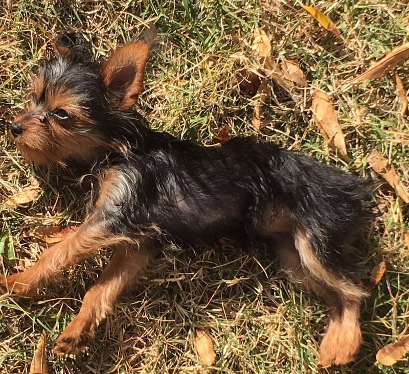 Enjoying the Arizona sun in the fall