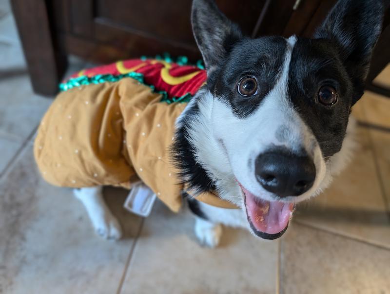 Photo - commentaire 2.